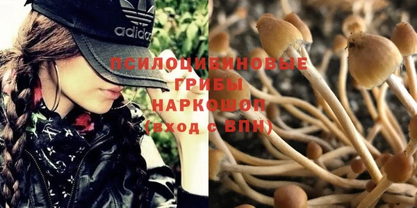 прущая мука Белокуриха