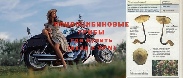 прущая мука Белокуриха