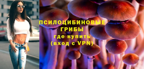 прущая мука Белокуриха
