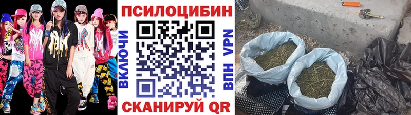 Галлюциногенные грибы мухоморы  Староминская 